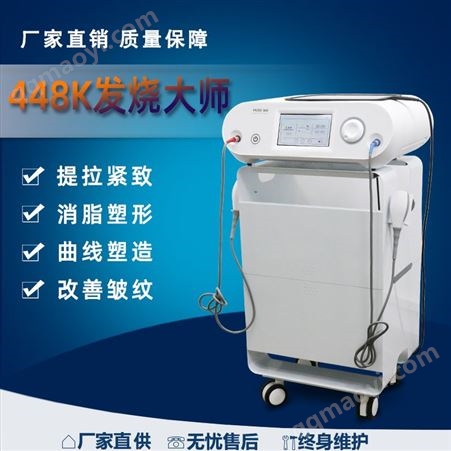 45454RAP带温控抗衰紧致养生仪器448K
