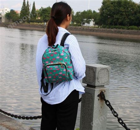 厂家定制韩版新款时尚女包 学生书包 防水帆布背包双肩包旅行包22