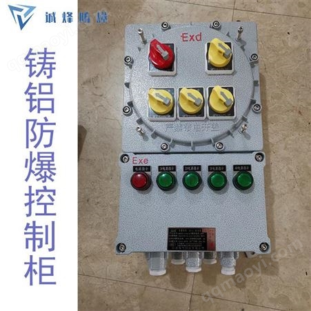 BXM诚烽 BXM系列 防爆配电箱接线实物图 监控用防爆电源箱 粉尘防爆双电源开关箱 达州钢铁厂项目