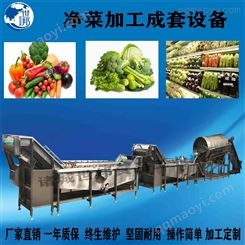 厂家现货蔬菜水果清洗机 香菇清洗机 蘑菇金针菇清洗流水线